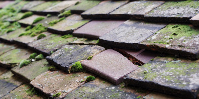 Willington roof repair costs